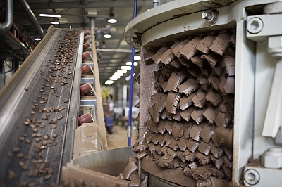 Preparación y moldeo